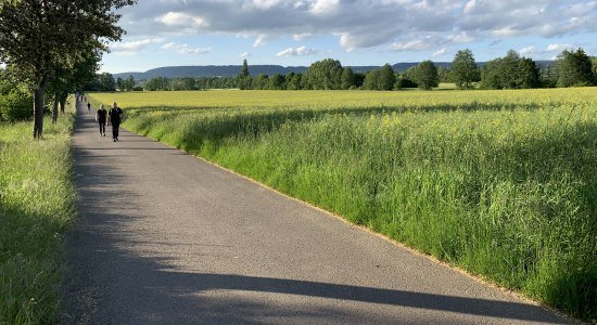 Megamarsch Weserbergland, © Touristikzentrum Westliches Weserbergland