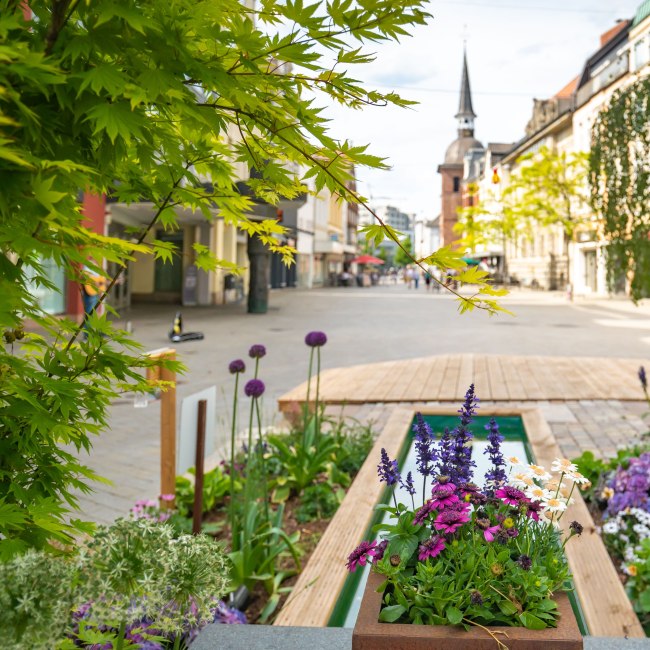 Oldenburg Stadtgärten, © Oldenburg Tourismus und Marketing GmbH/ Mario Dirks