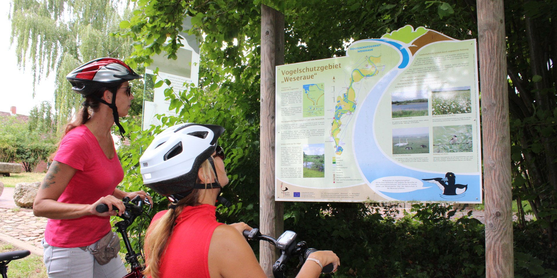 Radfahren in der Mittelweser, © Mittelweser-Touristik GmbH