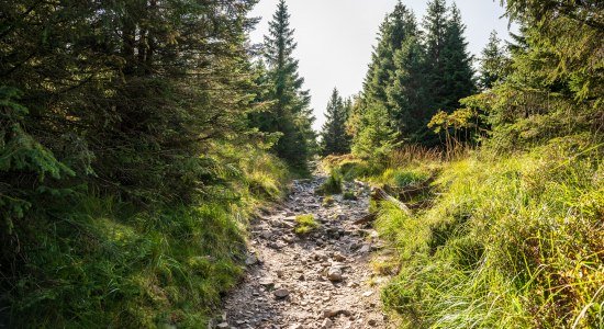 Harz, © TMN/ Markus Tiemann