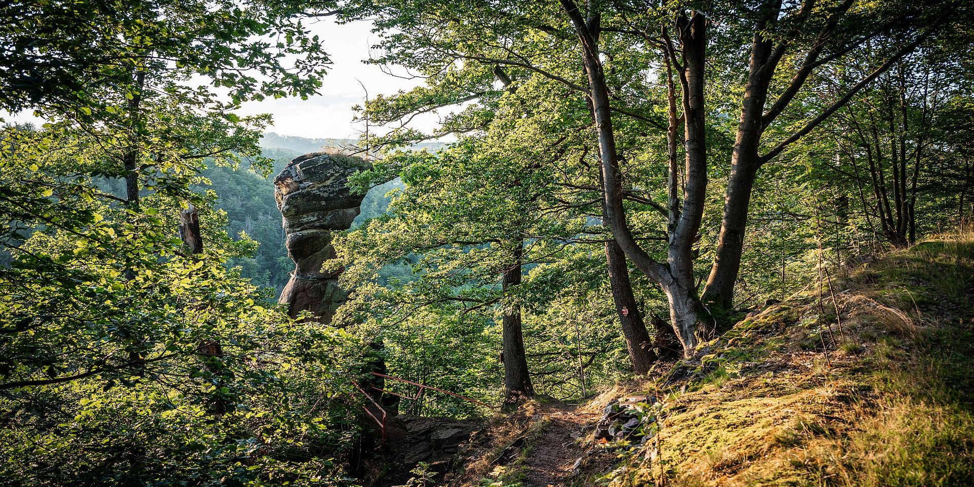 Blick zum Gänseschnabel , © Tourismusverband Südharz Kyffhäuser, Christian Schelauske