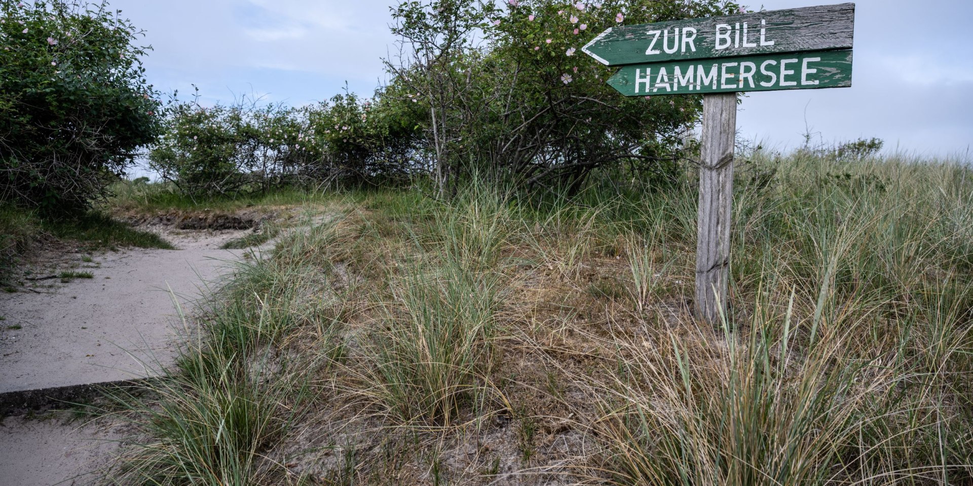 Juist Hammersee, © Lars Wehrmann