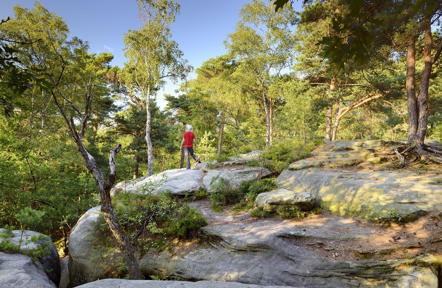 Pressebild NaturTrip Niedersachsen, © TMN/Francesco Carovillano