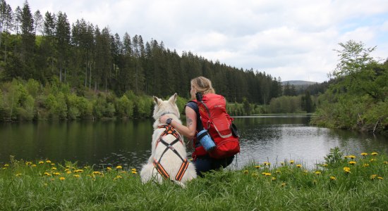 Mit Hund im Harz unterwegs, © M. Pagenkemper/Maddieunterwegs