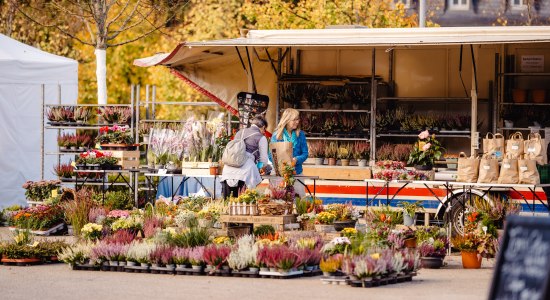 Herbstlicher Bauernmarkt mit verkaufsoffenem Sonntag, © Marie-Christin Pratsch