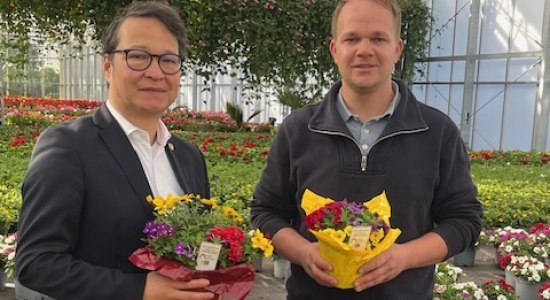Die Blume zum Stadtjubiläum Nienburgs, © Mittelweser-Touristik GmbH