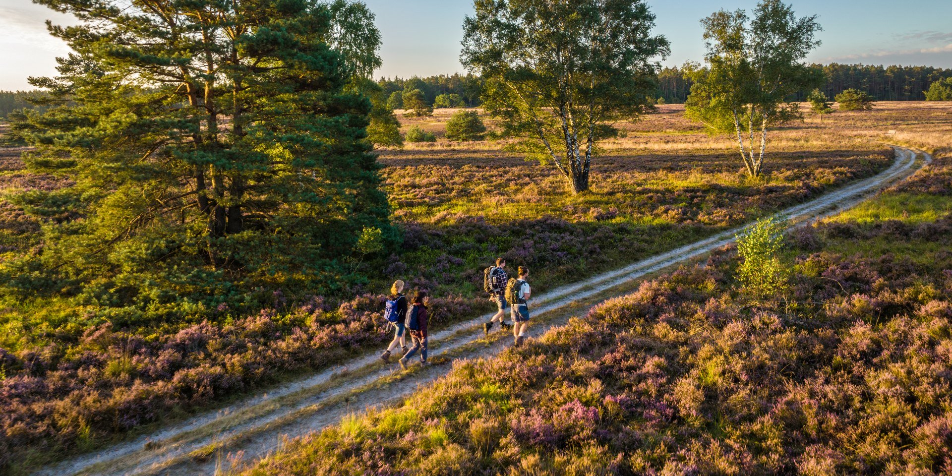 Wandern in der Heide, © Lüneburger Heide GmbH, Dominik Ketz