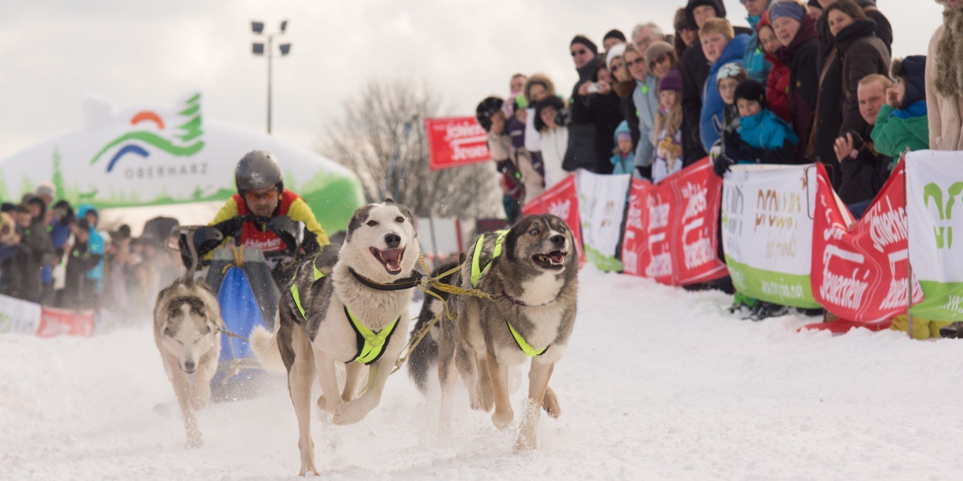 Oberharzer Schlittenhunde Adventure, © Jonathan Rhode