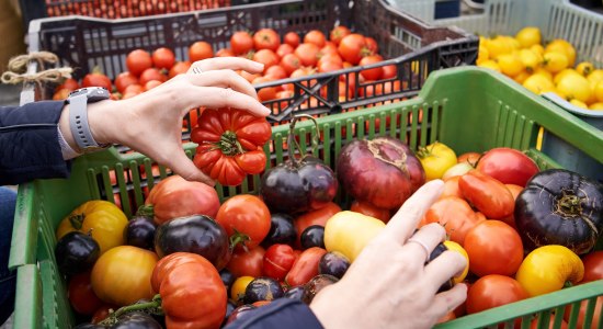 Tomatenvielfalt &amp; Gemüseglück , © Adobe Stock