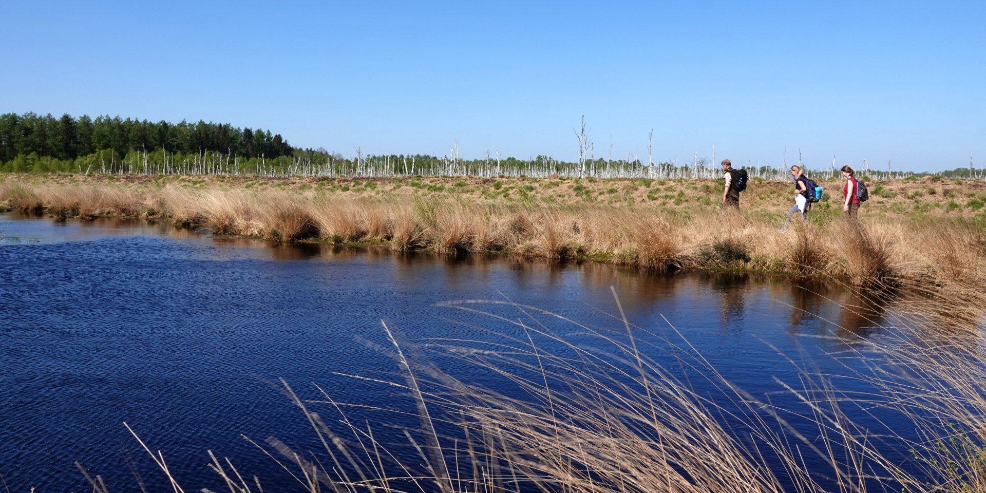 Naturschutzgebiet Theikenmeer, © Emsland Tourismus GmbH