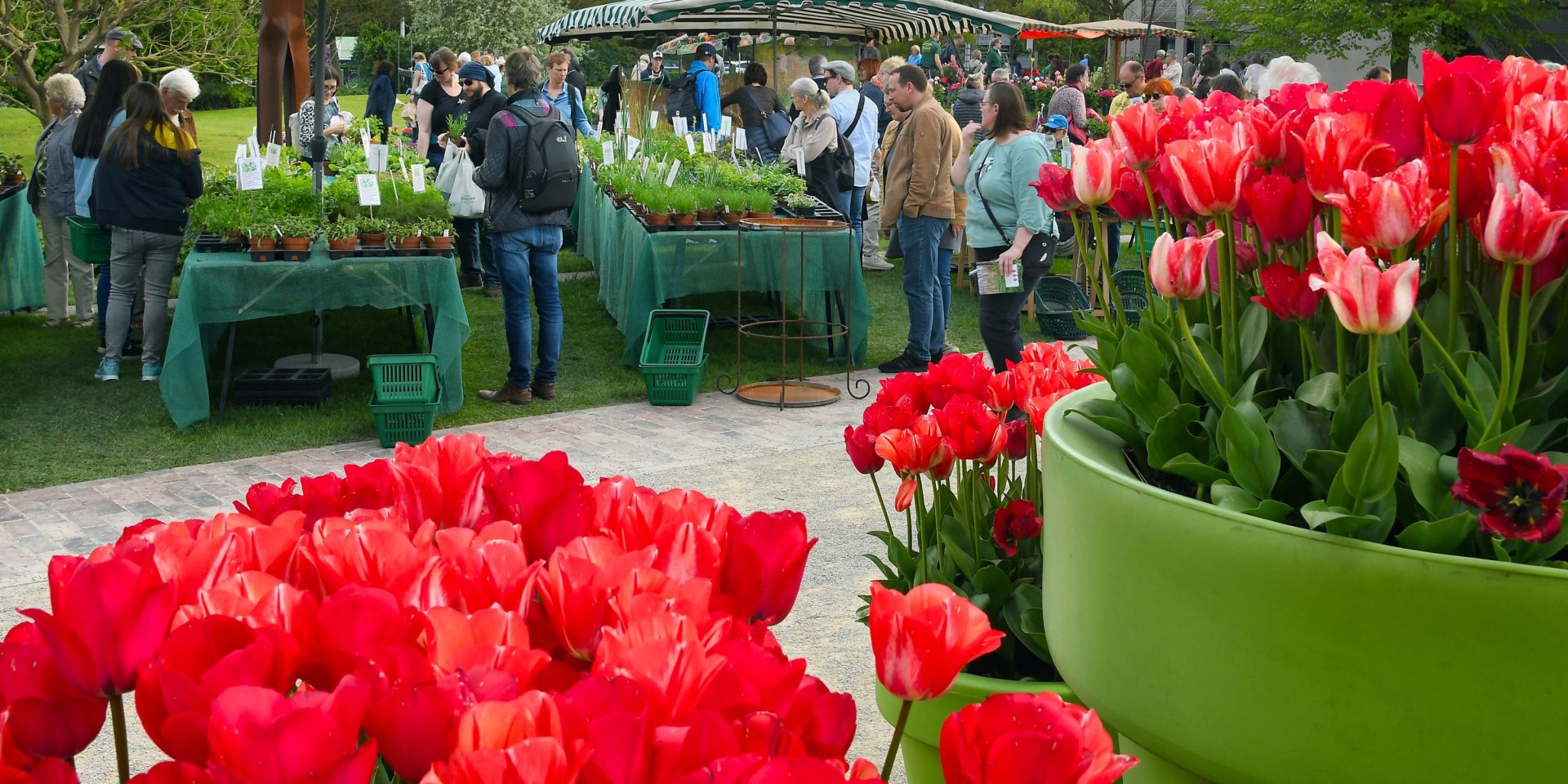 PflanzenWELTEN im Park der Gärten - Gartenflohmarkt, © Park der Gärten  gGmbH