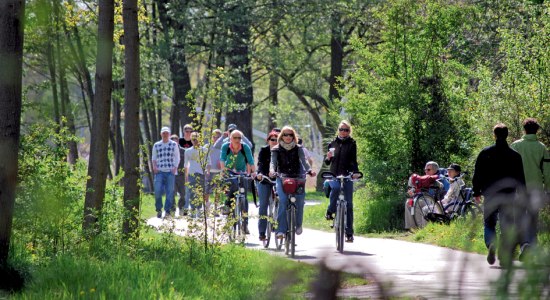 Radfahren in der Urlaubsregion, © HMTG / Wyrwa Radfahren in der Urlaubsregion, © HMTG / Wyrwa