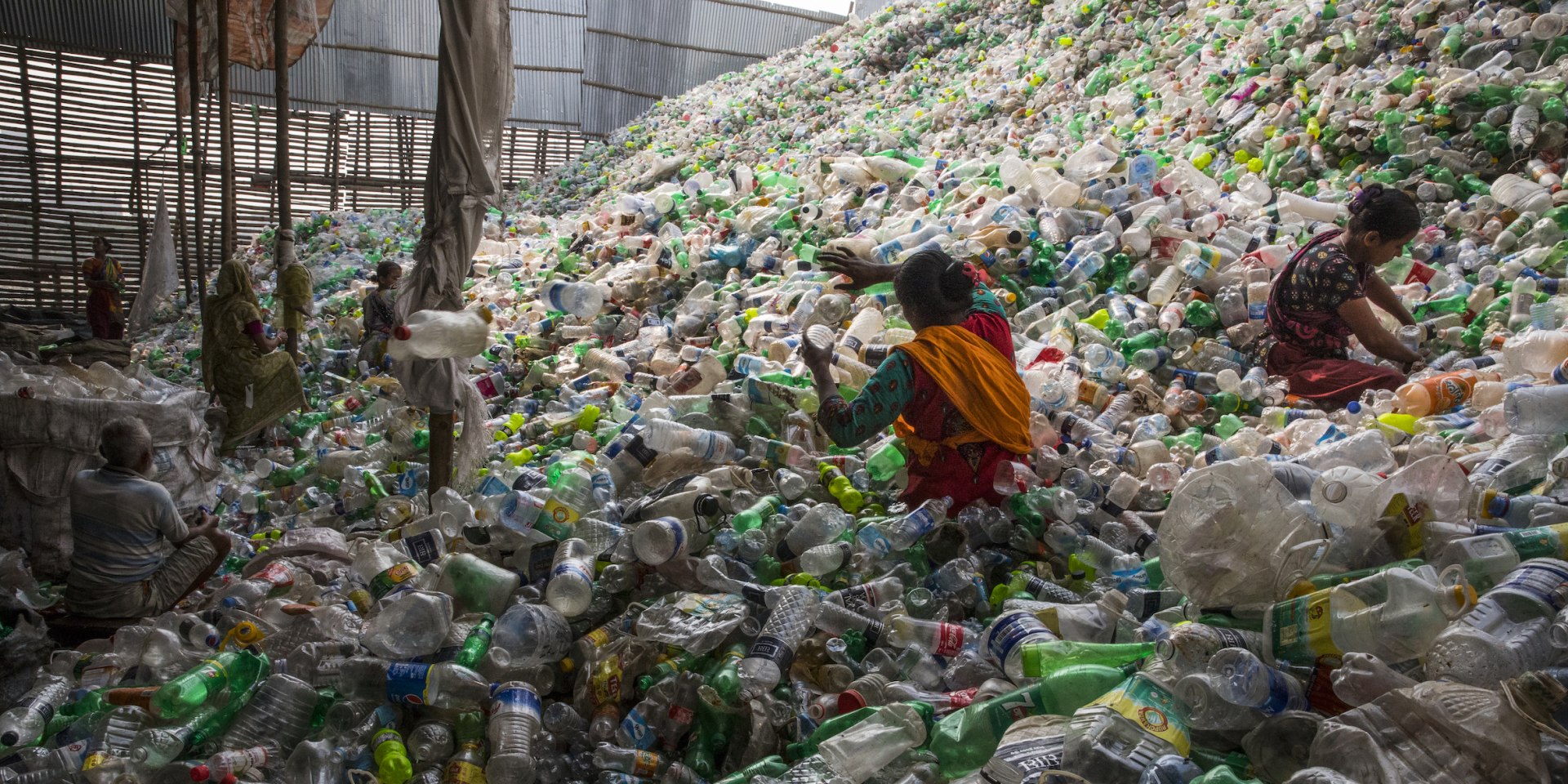 In einem Meer von Plastik, © National Geographic - Randy Olson