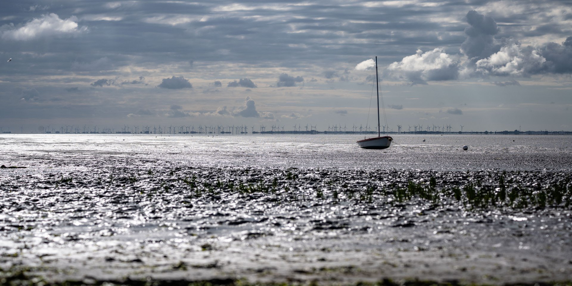 Blick ins Watt, © Lars Wehrmann 