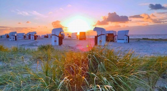 Strandkorbversteigerung, © Nordseebad Carolinensiel-Harlesiel GmbH Strandkorbversteigerung, © Nordseebad Carolinensiel-Harlesiel GmbH