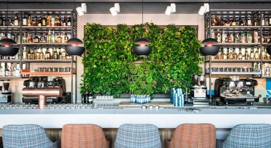 Herbarium Bar, © Freigeist Göttingen