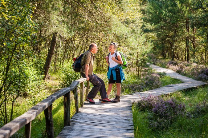 Wanderer in der Lüneburger Heide