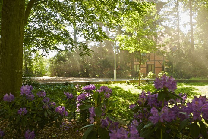 Idylle am Wegesrand, © Grafschaft Bentheim Tourismus / Rudi Schubert