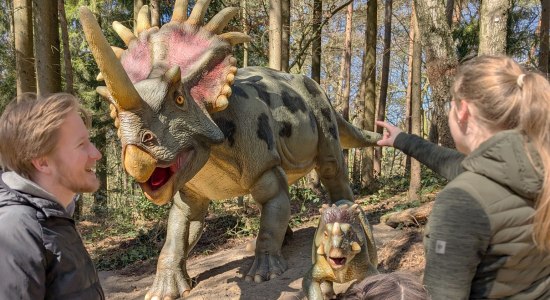 Auf Dinotour im Wildpark Schwarze Berge, © K. Bugenhagen, Wildpark Schwarze Berge 