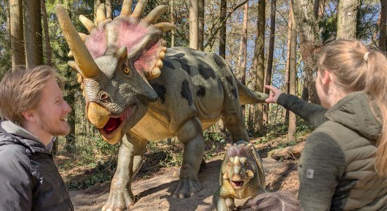 Auf Dinotour im Wildpark Schwarze Berge, © K. Bugenhagen, Wildpark Schwarze Berge 