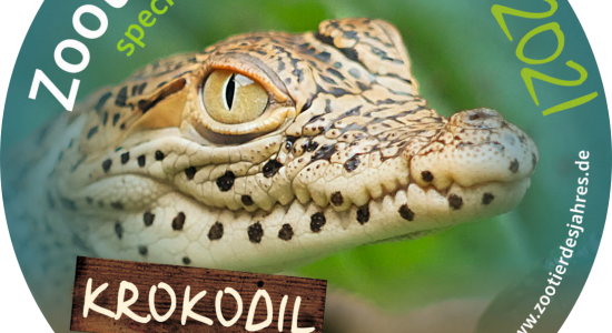 Zootier des Jahres , © Naturschutz-Tierpark Görlitz e.V. Zootier des Jahres , © Naturschutz-Tierpark Görlitz e.V.