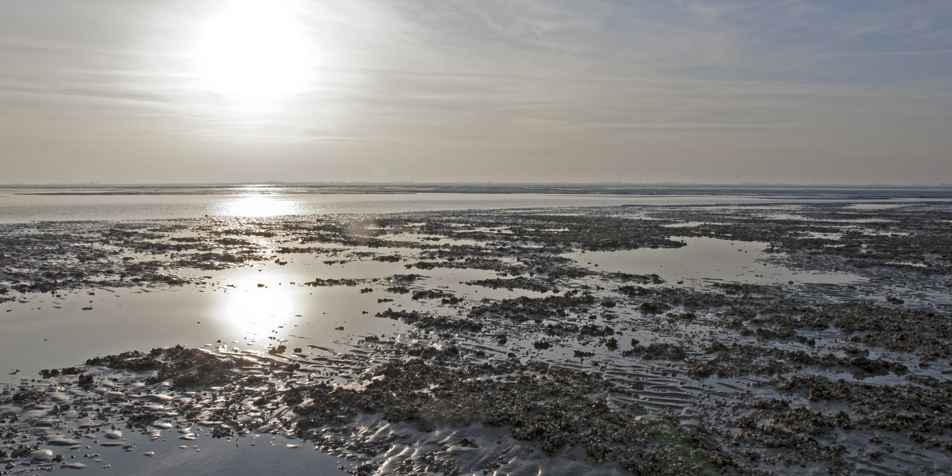 Watt, © Nationalparkverwaltung/ Norbert Hecker