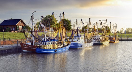 Greetsiel Hafen, © Francesco Carovillano