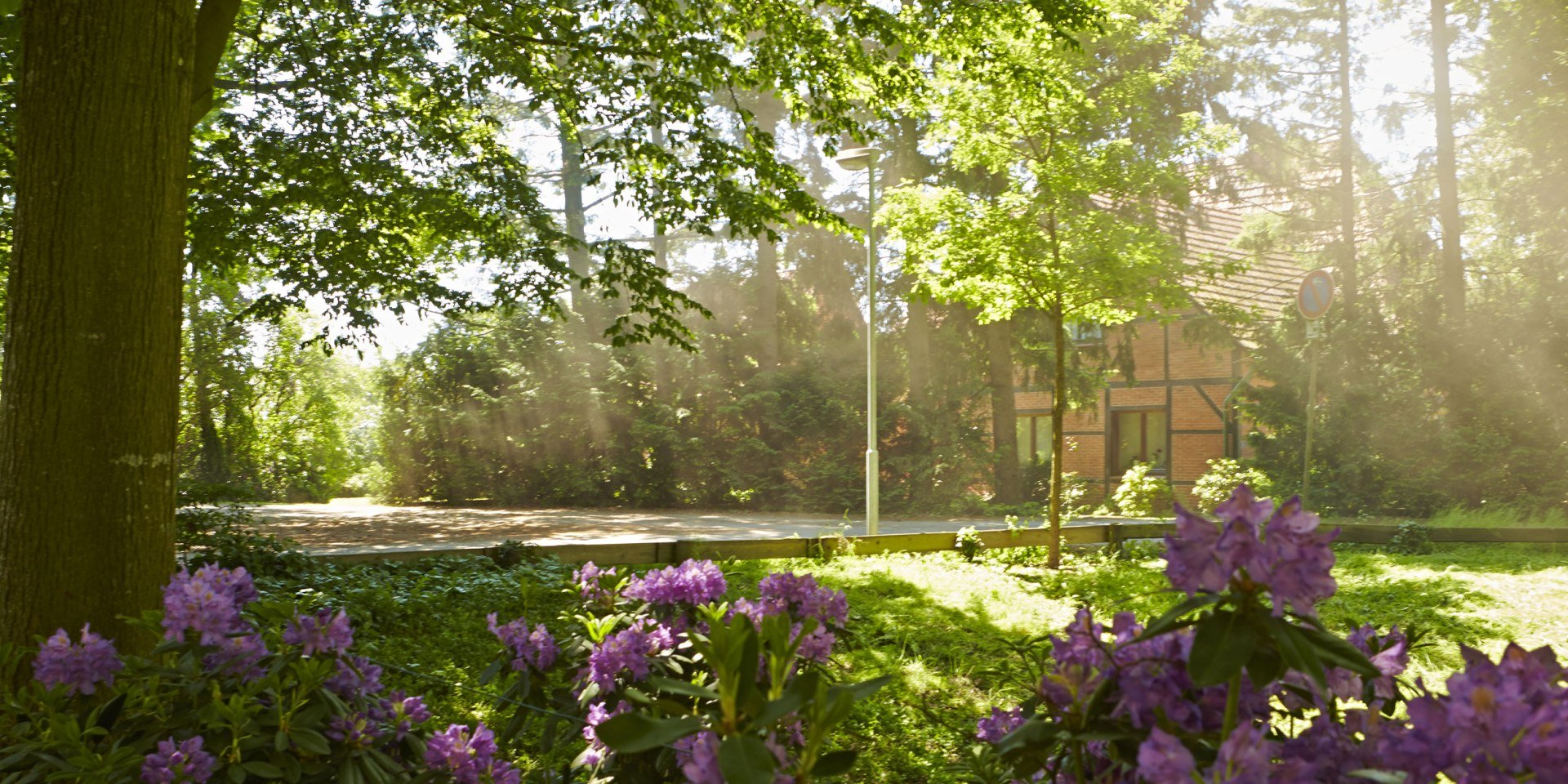 Idylle am Wegesrand, © Grafschaft Bentheim Tourismus / Rudi Schubert