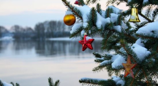 Geschmückter Weihnachtsbaum, © Biosphaerium Elbtalaue GmbH