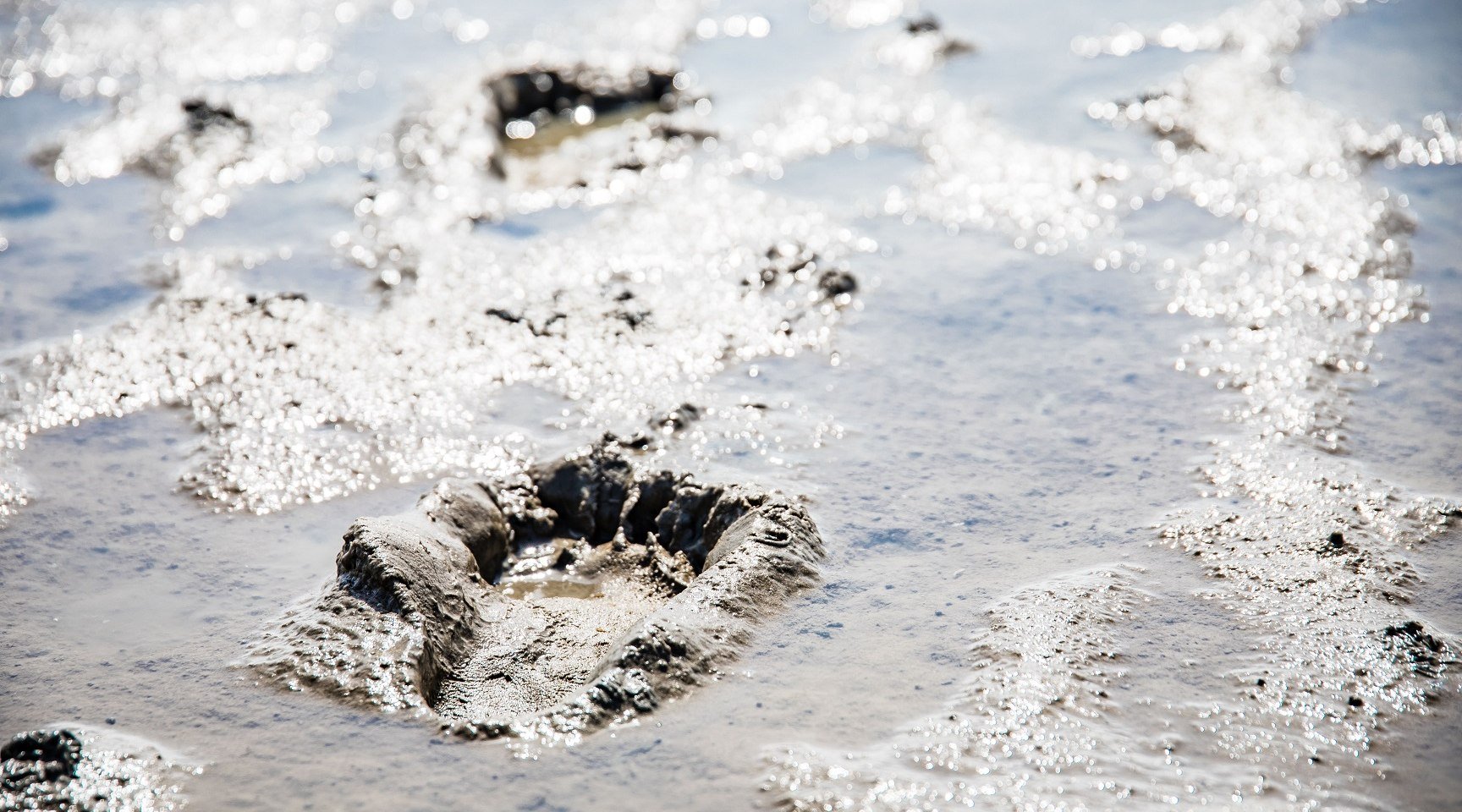 Die neue Rallye führt auf 22 Kilometern kreuz und quer über die Insel., © Lars Wehrmann Die neue Rallye führt auf 22 Kilometern kreuz und quer über die Insel., © Lars Wehrmann