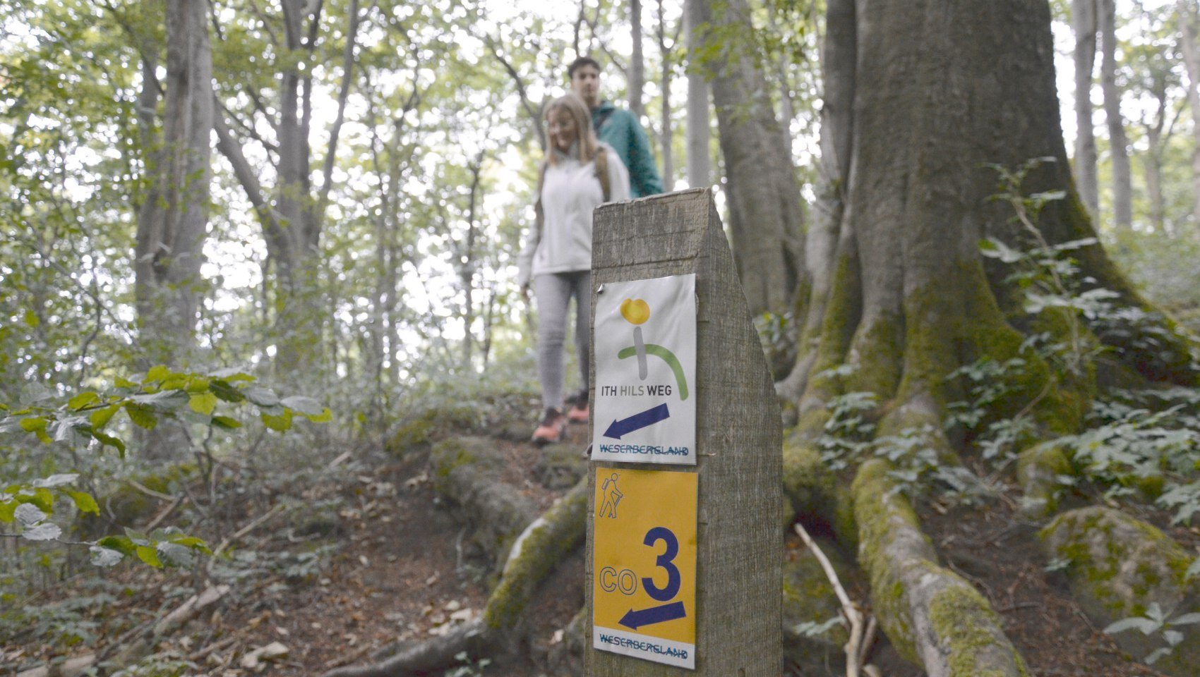 Junge Wanderer auf dem Ith-Hils-Weg, © SVR/ F. Scheider