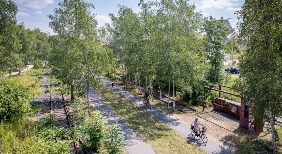 Rund 22,5 Kilometer führt der Rundgang entlang des als Freizeitweg erschlossenen Ringgleises und bietet zum Standpunkt passende Informationen zu Sehenswürdigkeiten und Angeboten. , © Braunschweig Stadtmarketing GmbH/ Philipp Ziebart