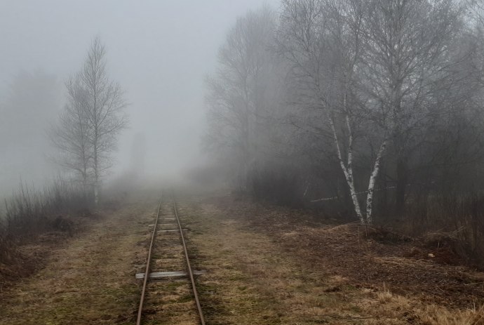 Ahlenmoor-Nebelgleise, © S. Fürst 