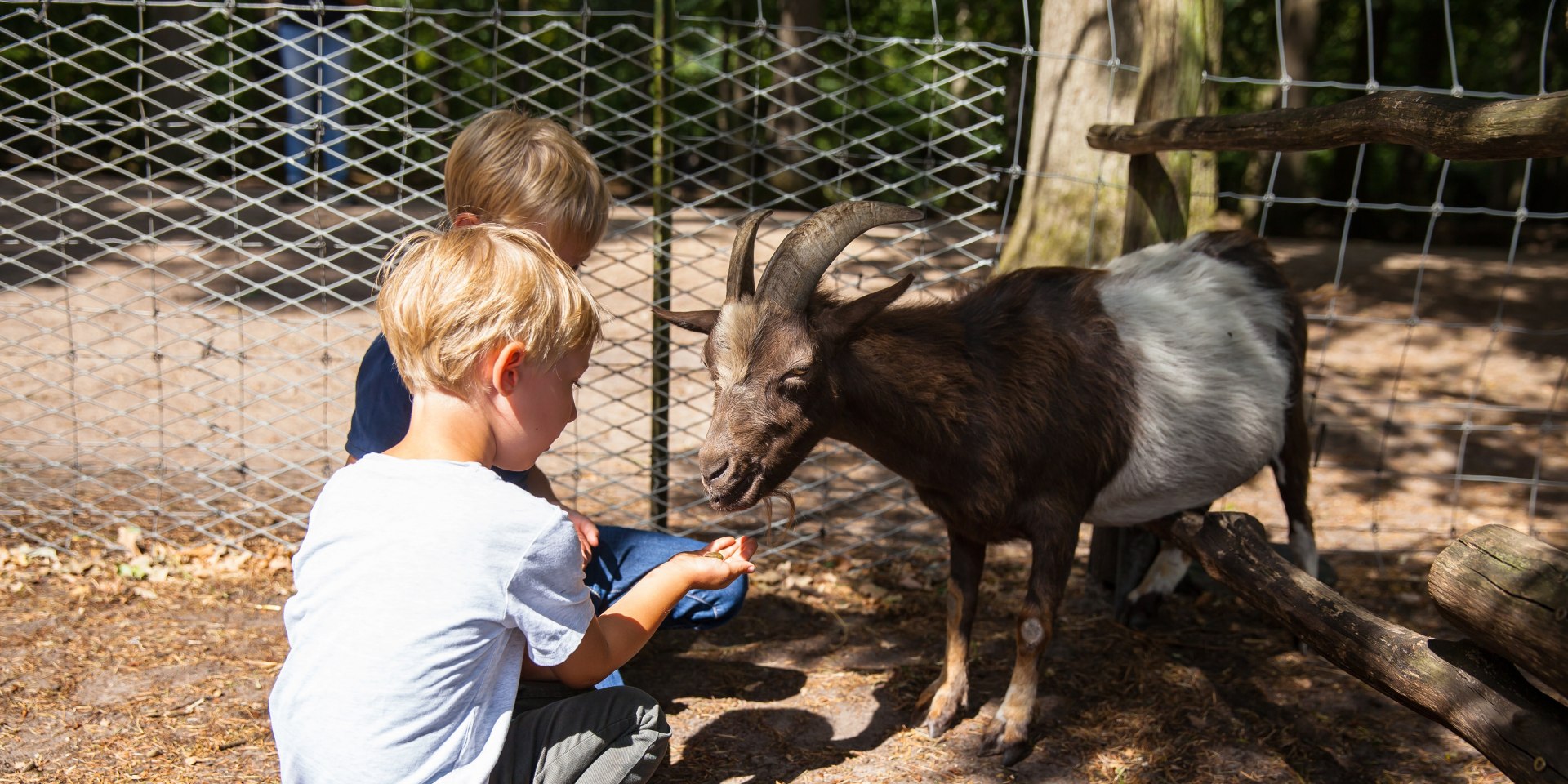 Sommerfreuden im OM, © om-tourismus
