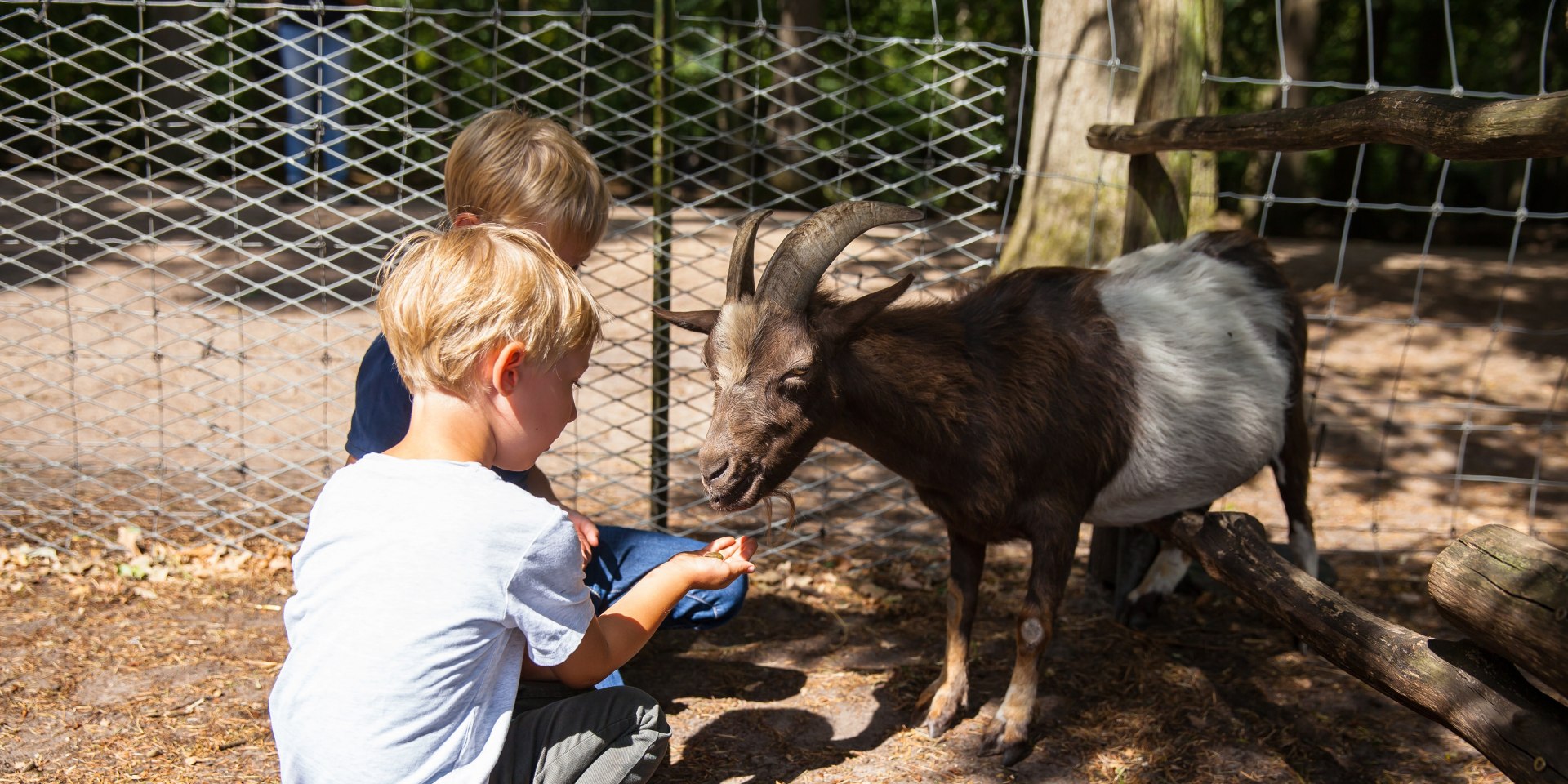 Sommerfreuden im OM, © om-tourismus