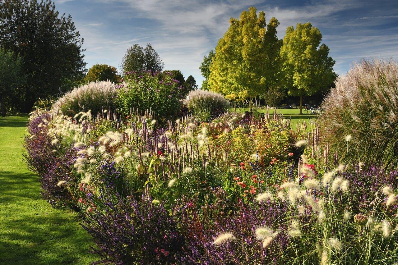 Blumenbad Sommerflor , © Park der Gärten/ Hans Jürgen Zietz