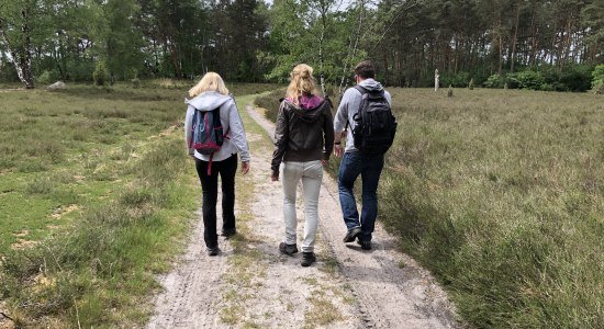 In der Mittelweser-Region gibt es abwechslungsreiche Wander- und Pilgerwege., © Mittelweser-Touristik GmbH