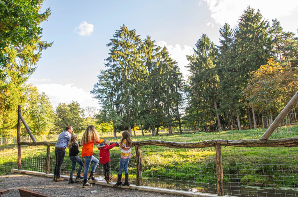 Aussichtspunkt zum Elchgehege im Wildpark Müden, © Wildpark Müden