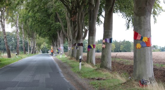 Urban Knitting Aktion in der Rot-Buchen-Allee in Dötlingen, © Wolfgang Pohl
