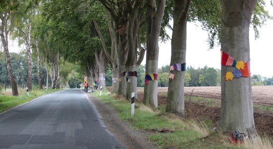 Urban Knitting Aktion in der Rot-Buchen-Allee in Dötlingen, © Wolfgang Pohl