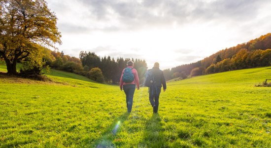 Wandern in der Wilden Heimat, © Solling-Vogler-Region im Weserbergland e.V.