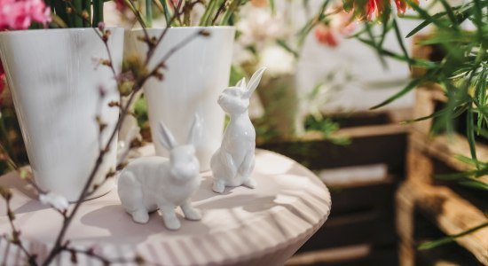 Der Fürstenberg Hase lädt ein!, © Claudia Warneke
