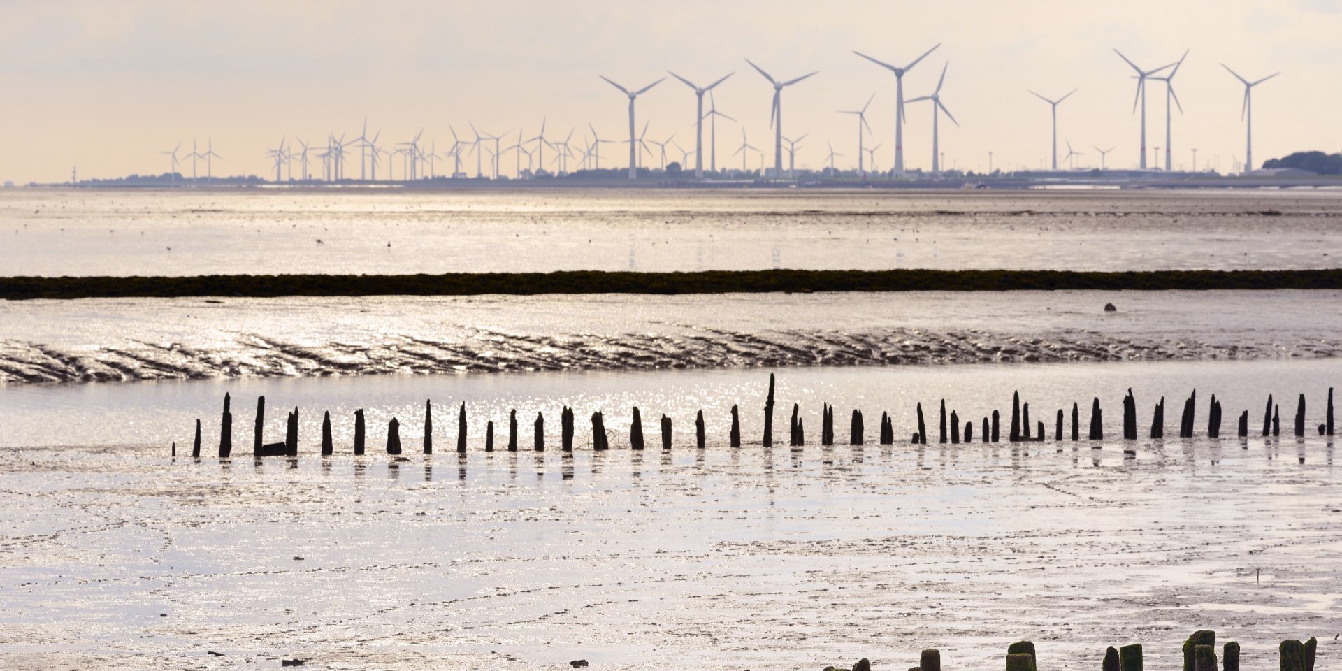 Windräder im Sonnenuntergang, © Francesco Carovillano