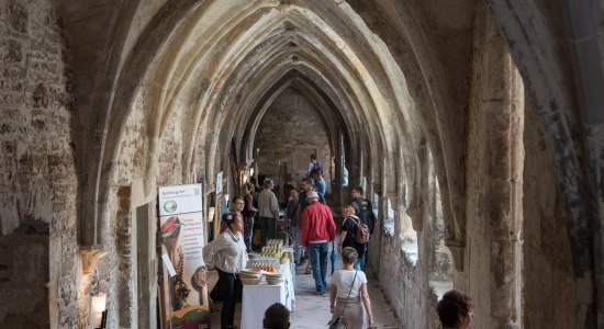 17. Harzer Klostersommer, © Harzer Tourismusverband e.V.