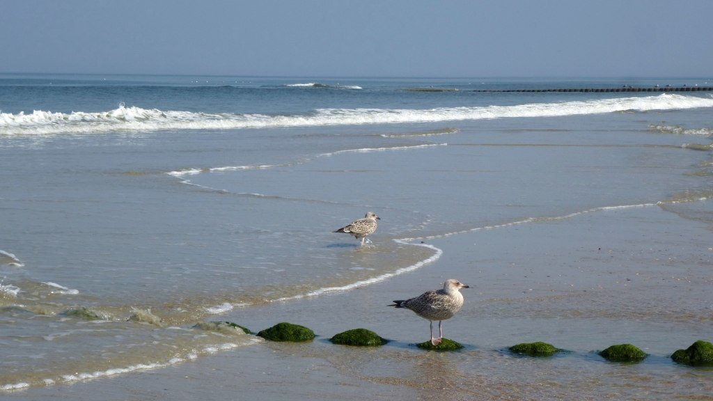Ostfriesland Strand, © www.ostfriesland.travel
