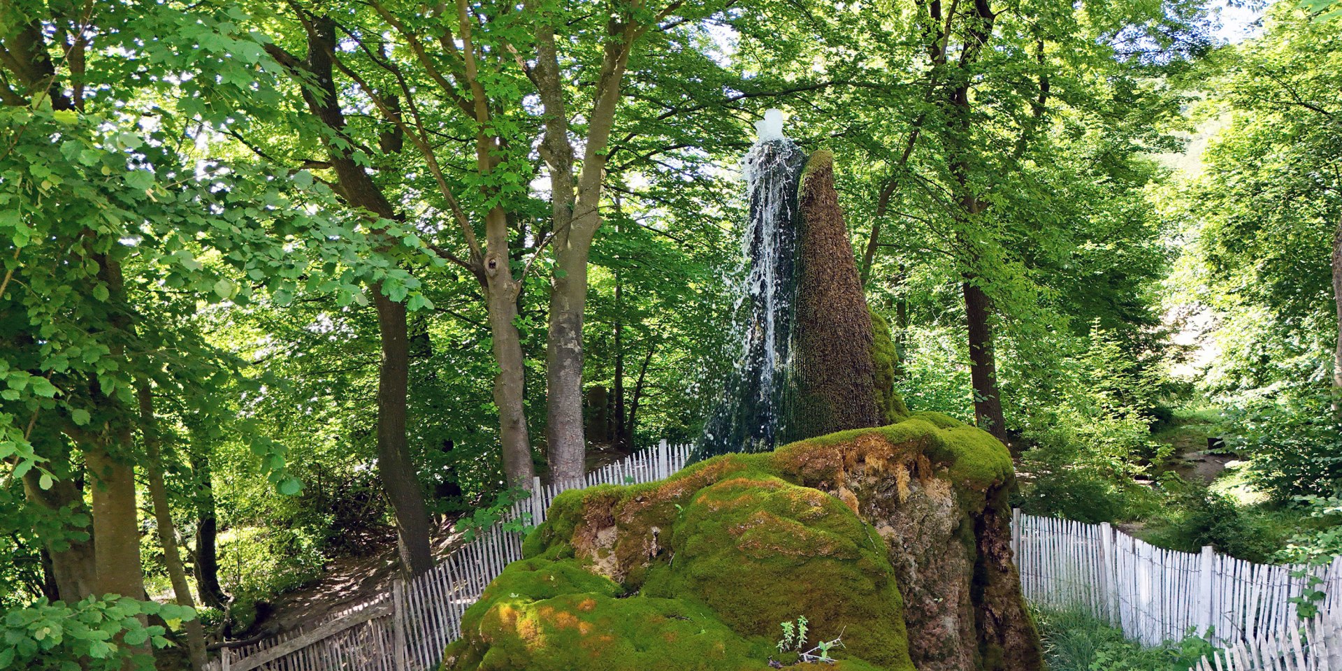 Wasserbaum , © Flecken Salzhemmendorf