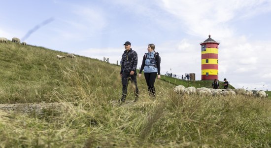 Wanderer am Deich , © Tourismus-Agentur Nordsee GmbH