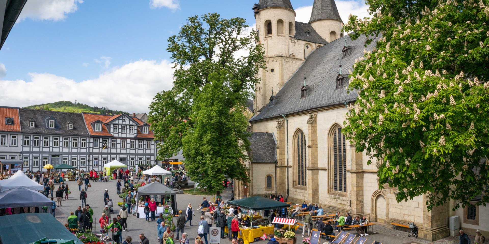 Gartenmarkt Jakobikirchhof, © Goslar Marketing GmbH
