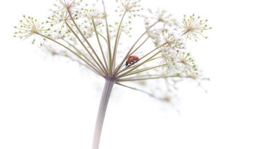 Spaziergang , © Mario Hildebrandt