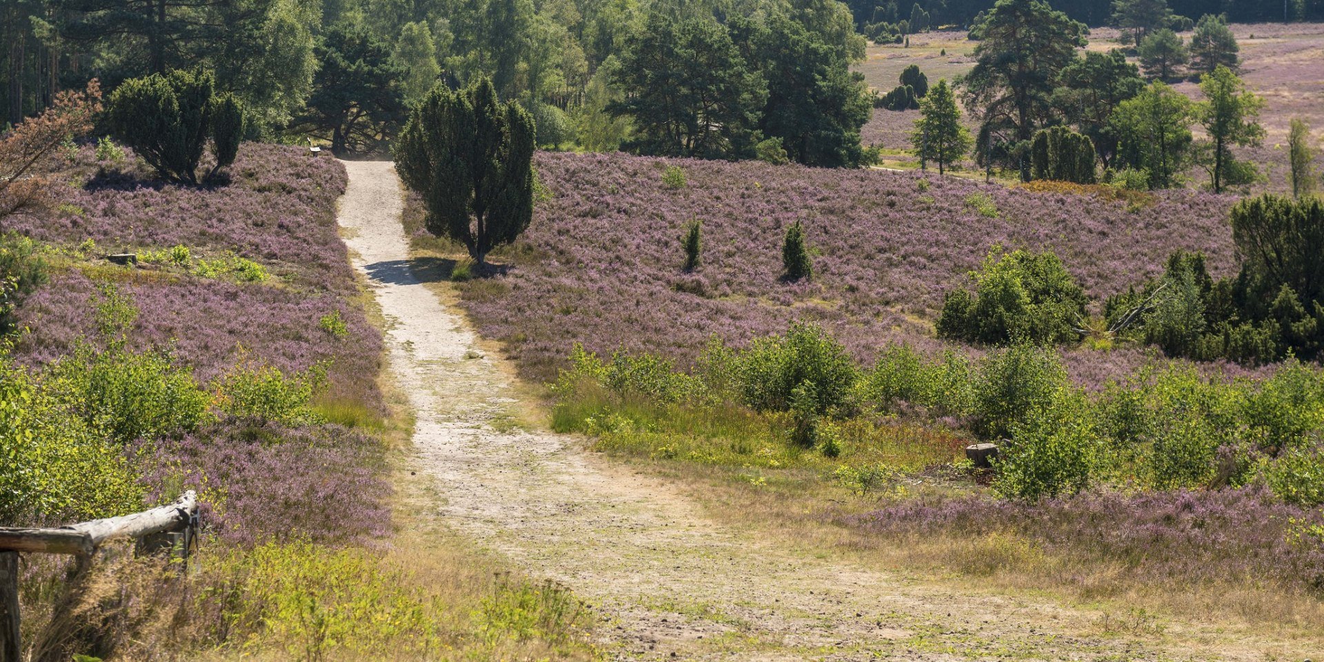 Lüneburger Heide, © Lüneburger Heide GmbH/ Dominik Ketz